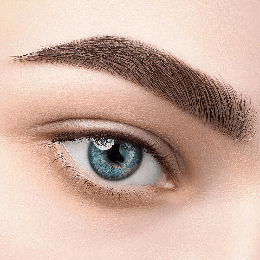 brow-forms-8.png