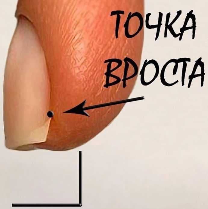 nail-forms-7.jpg